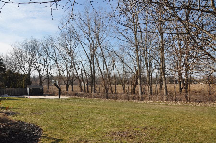 Dream Home on over half an acre